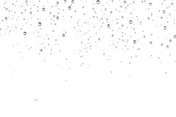 Numerous water droplets are scattered across a plain white backdrop, creating a visually striking pattern. on a White or Clear Surface PNG Transparent Background.