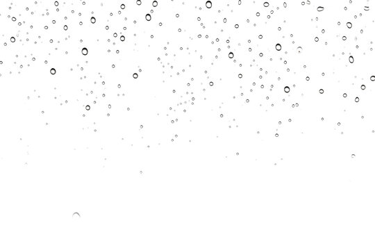 Numerous water droplets are scattered across a plain white backdrop, creating a visually striking pattern. on a White or Clear Surface PNG Transparent Background.