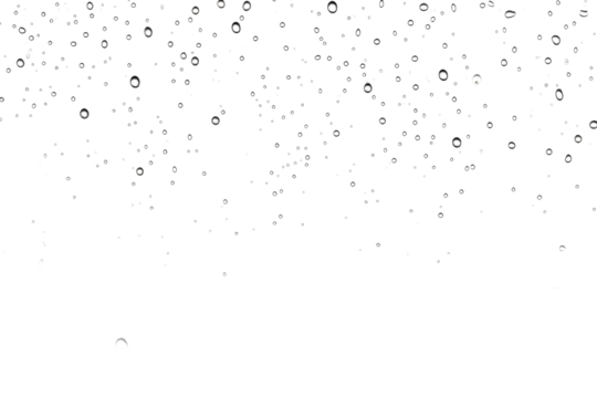Numerous water droplets are scattered across a plain white backdrop, creating a visually striking pattern. on a White or Clear Surface PNG Transparent Background.