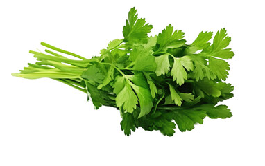 A bunch of fresh parsley leaves neatly arranged. on a White or Clear Surface PNG Transparent Background.