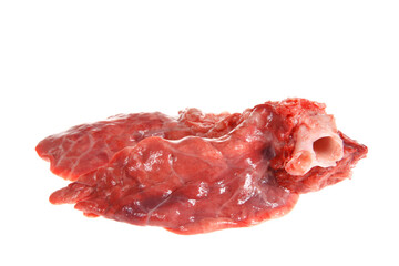 The pig lung on a white background