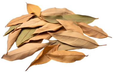A photograph showcasing a pile of dried leaves arranged neatly. on a White or Clear Surface PNG Transparent Background.