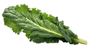 A close up photo of a leafy green vegetable, with vibrant green leaves. on a White or Clear Surface PNG Transparent Background.