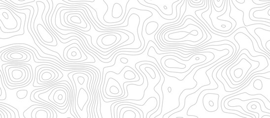 Abstract wave paper curved reliefs background .gradient multicolor wave curve lines banner background design .topographic contours map background .Vector geographic contour map.