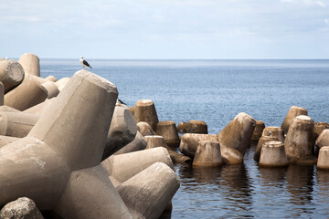 View of the tetrapods with the horizon at the seaside