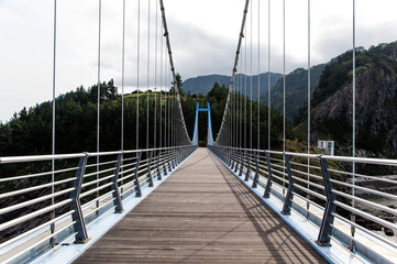View of the suspension bridge in Ullengdo, South Korea