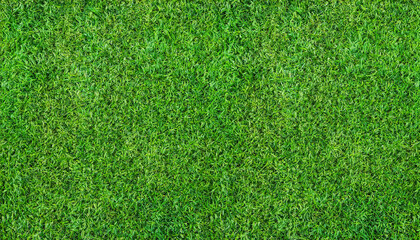 Artificial Green grass texture seamless background, top view