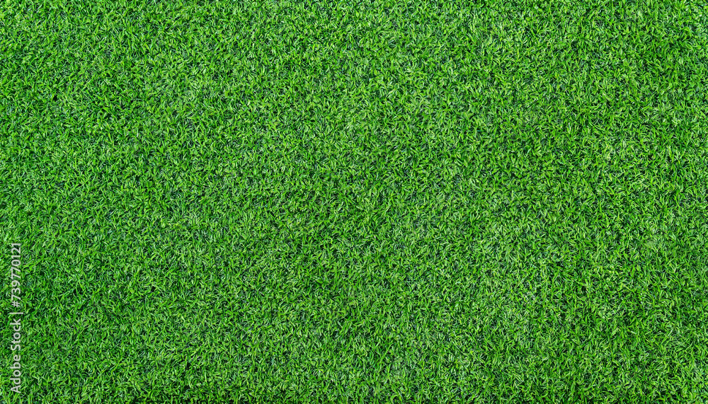 Wall mural Artificial Green grass texture seamless background, top view