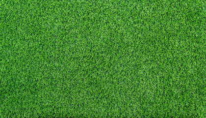 Artificial Green grass texture seamless background, top view
