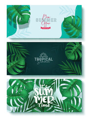 Summer tropical greeting vector banner set. Summer time text with palm leaf and monstera leaves in color green elements for tropical season holiday background collection design. Vector illustration 
