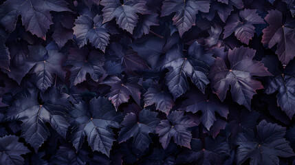 Wall of wild grape leaves