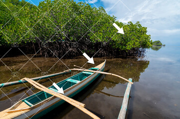 Results of an AI watermark or logo removal tool erasing watermarks from a photograph.