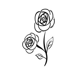 hand draw rose