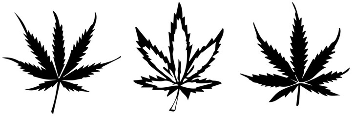 marijuana leaf vector transparent background PNG clipart - obrazy, fototapety, plakaty