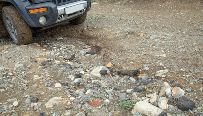 Car wheel in dirty ground road.