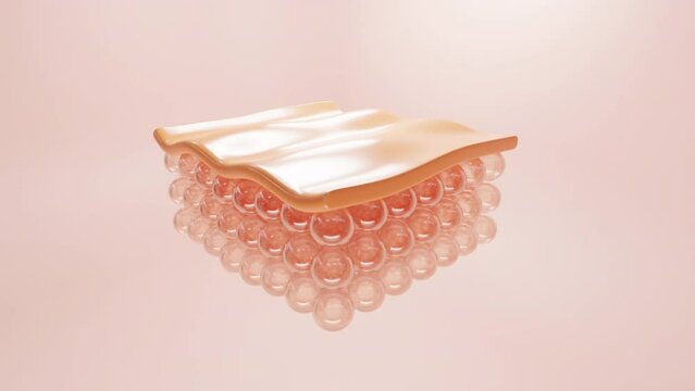 3d Animation Serum through the skin cells for repair wrinkles. Skin structure layer microstructure. Concept for Repair skin cell. Skin collagen up.	