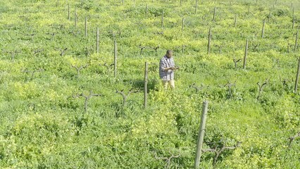 Drone, man and internet for agriculture on tablet, farming and sustainable environment in outdoors. Male person, vegetation and plants or crops for produce industry, research and checklist on tech