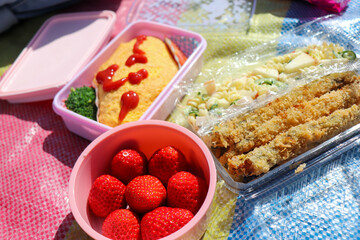 ピクニックのオムレツの弁当とイチゴとサラダと揚げ物