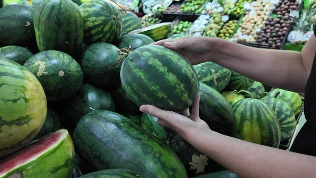 Close-up of a persons hands selecting fresh watermelons from a grocery store pile, depicting healthy shopping choices and summer seasonal produce