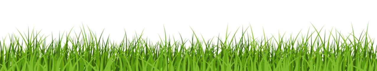 Green grass border. Lawn banner. Meadow background. - 739797175