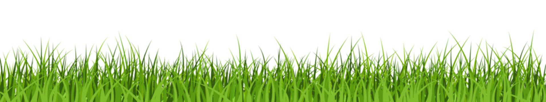 Green grass border. Lawn banner. Meadow background.