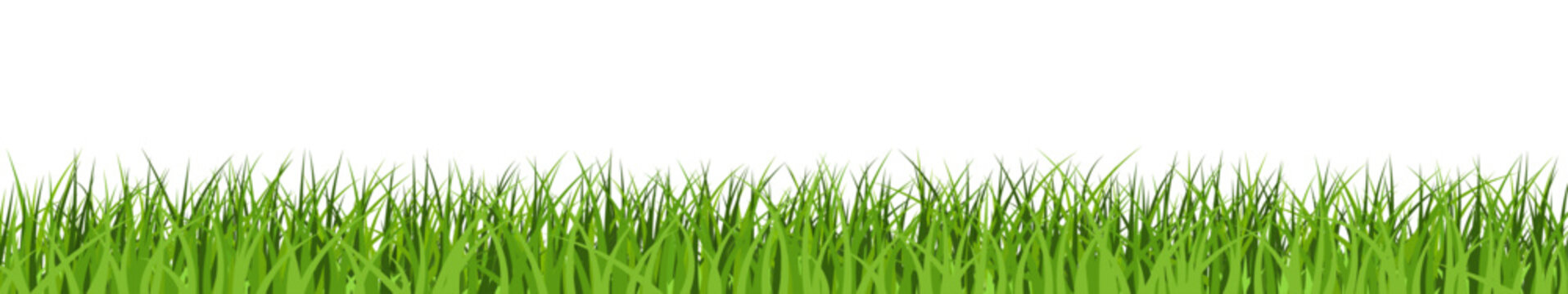 Realistic green grass banner. Lawn or meadow vector border