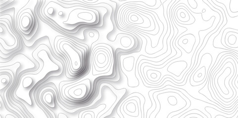 White wave paper curved reliefs abstract background black and white, Background of the topographic line map. Topographic map patterns abstract white topography vector background.