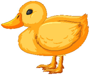 Bright yellow duckling in a vector style