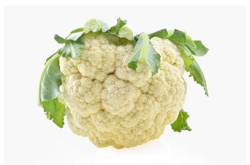 Cauliflower isolated on white background