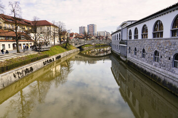 Fototapeta na wymiar Bridge on the river in Ljubljana, Slovenia