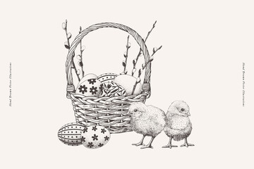 Two adorable chickens and a wicker basket with willow branches and painted eggs. Cute Easter picture in engraving style. Festive illustration for Happy Easter. Design element for spring holiday. © KOSIM