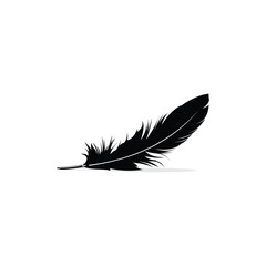 vector illustration black feather isolated on white background © DASAPart