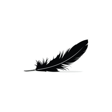 vector illustration black feather isolated on white background