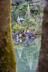 木の間から庭園