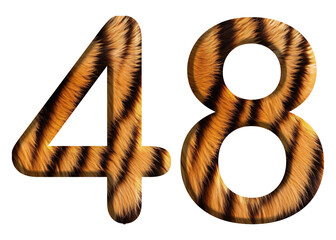 The shape of the number 48 is made of tiger fur or tiger skin isolated on transparent background. suitable for birthday, anniversary and memorial day templates