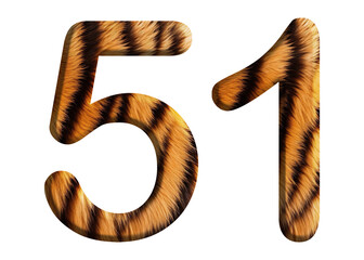 The shape of the number 51 is made of tiger fur or tiger skin isolated on transparent background. suitable for birthday, anniversary and memorial day templates