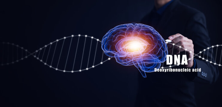 deoxyribonucleic acid and brain concept ,biochemical research ,human DNA detection graph Checking for abnormalities in the body, science and experiment concept