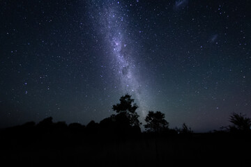 Fototapeta na wymiar Starry Night Milky Way