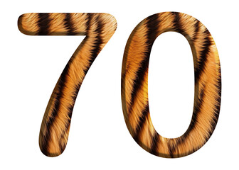 The shape of the number 70 is made of tiger fur or tiger skin isolated on transparent background. suitable for birthday, anniversary and memorial day templates