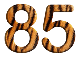 The shape of the number 85 is made of tiger fur or tiger skin isolated on transparent background. suitable for birthday, anniversary and memorial day templates