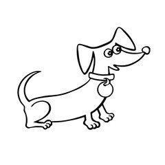 Dachshund cartoon coloring book illustrations.