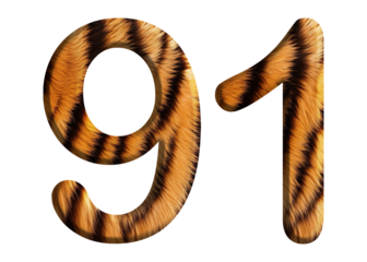 The shape of the number 91 is made of tiger fur or tiger skin isolated on transparent background. suitable for birthday, anniversary and memorial day templates