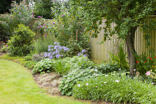 Flowerbed in a beautfiful English garden in summer, UK