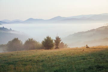 Attractive view of the mountainous area in morning. Carpathian National Park, Ukraine, Europe.