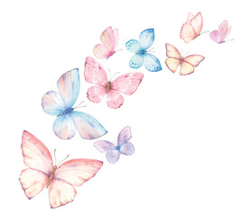 Pink blue flying watercolor vector butterflies. Excellent for wedding design, stationery, invitations, birthday celebration. Hand painted illustration.
