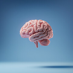 Pink human brain floating over blue background. Creative thinking concept. Minimal artificial intelligence composition. 