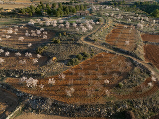 Campo colorido en invierno