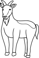 goat lineart