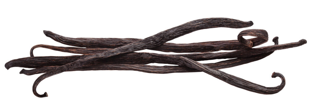 Vanilla bean isolated on white background, clipping path, full depth of field