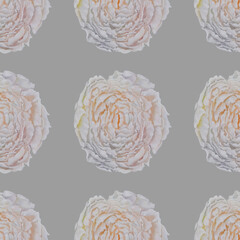 seamless pattern peony flower in white,yellow,orange,gray,lilac spring bud of an open flower